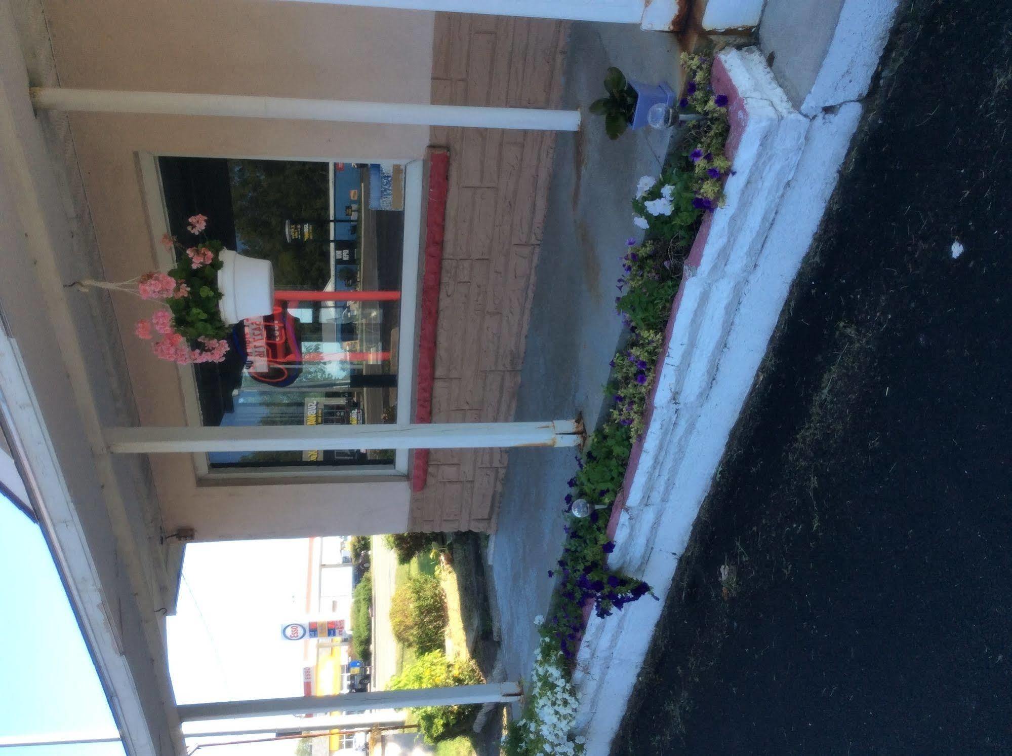 Palace Inn Motel Sarnia Eksteriør billede
